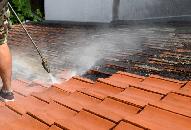 Best House Pressure Washing  in White City, FL