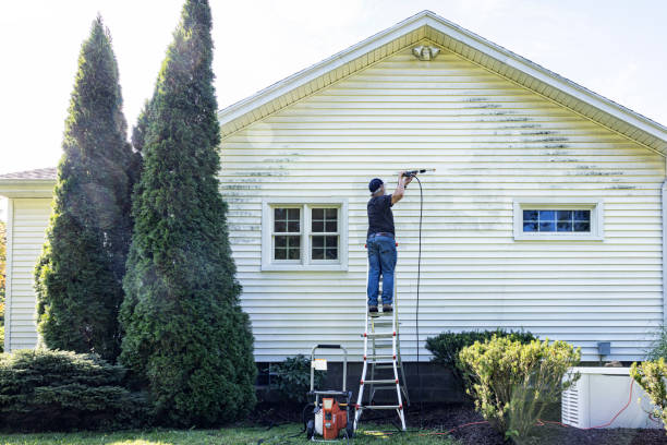 Best Pressure Washing Company Near Me  in White City, FL