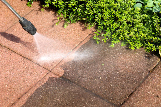 Best Affordable Power Washing  in White City, FL